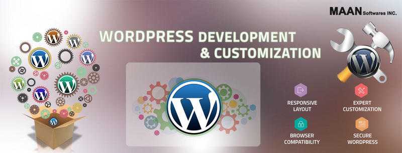 Expert Wordpress Development And Customization