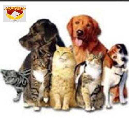 Exporting Pets From Singapore