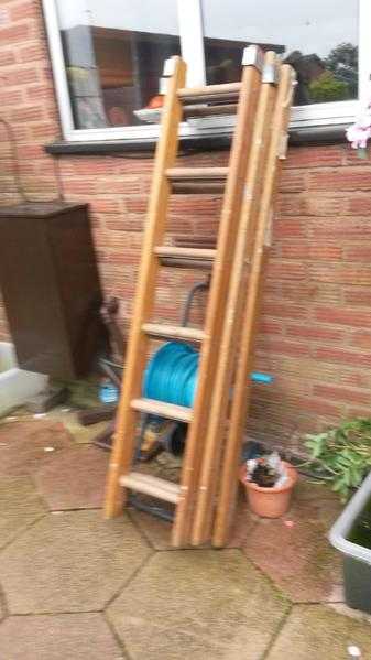 extendable wooden ladders