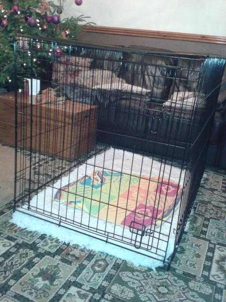 Extra large dog cage.