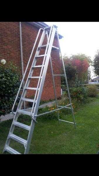 Extra tall tree trimmngwarehousebuilding step ladders with handrail and platform