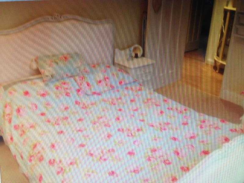 Fabulous double furnished light Bedroom lodger required immediately