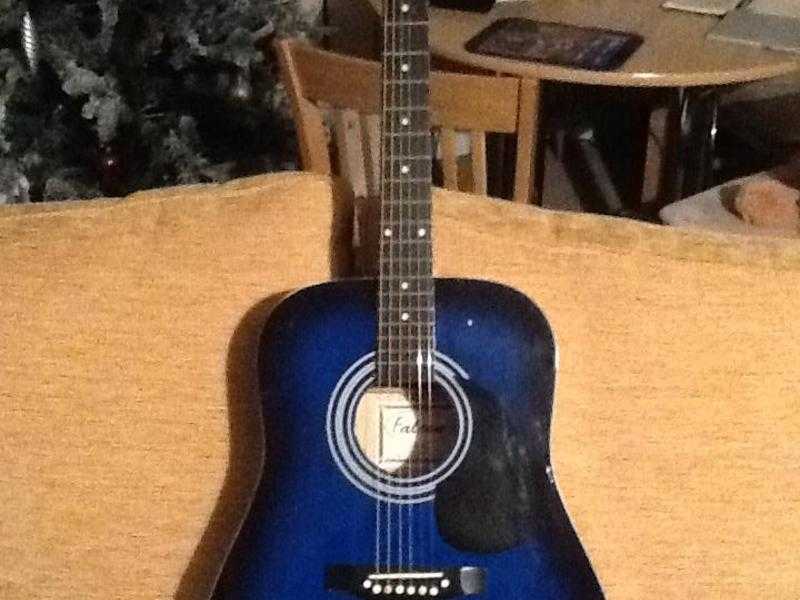 Falcon acoustic guitar