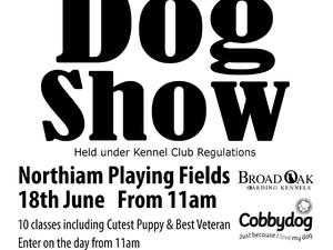 FAMILY FUN DOG SHOW