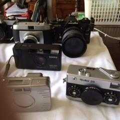 Fantastic camera collection with everything from Box Brownie to MinoltaXGs