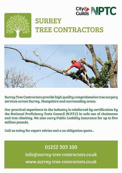 FARNBOROUGH TREE SURGEONS