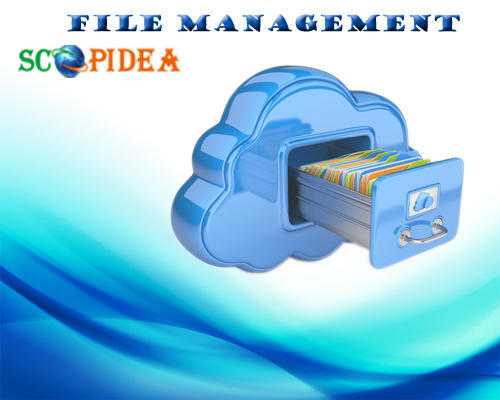 File management