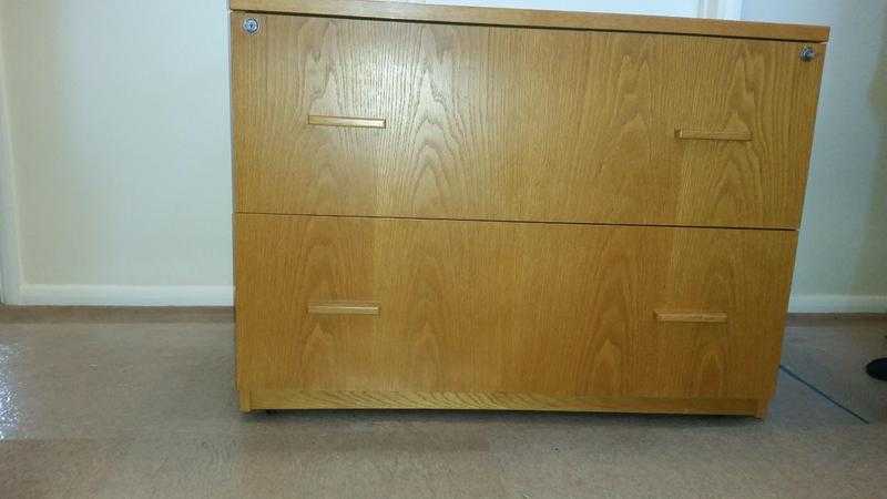 Filing  Storage Cabinet