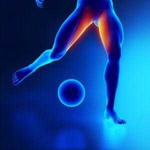 Find The Source of Your Groin Strain Pain