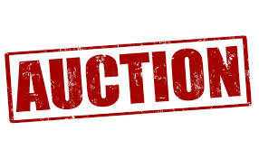 findon village hall     AUCTION  13TH APRIL