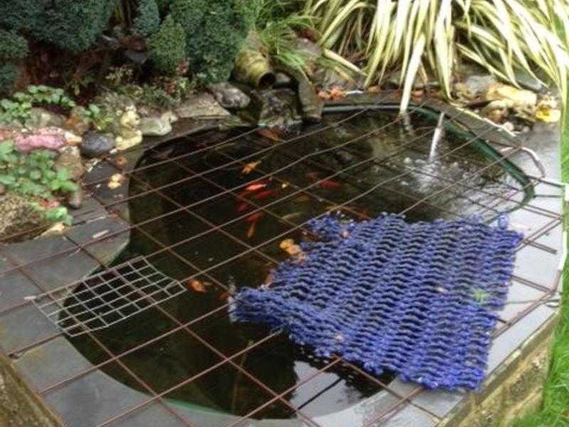 Fish pond ( complete )