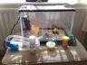 Fish Tank 24 Litre- Starter Kit bundle 10 items all included