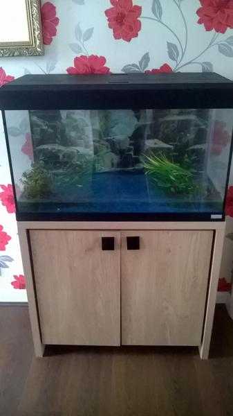 fish tank