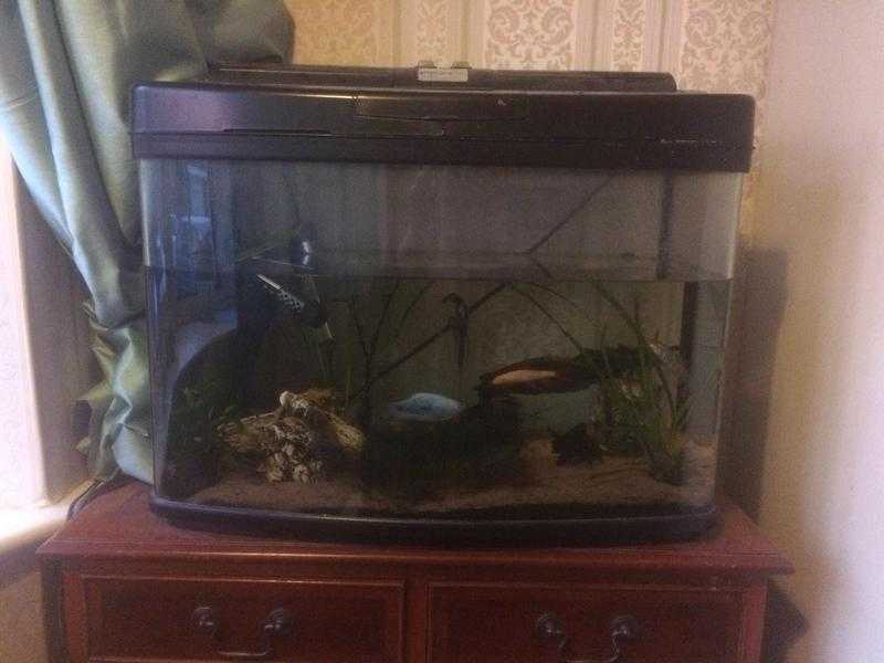 Fish tank