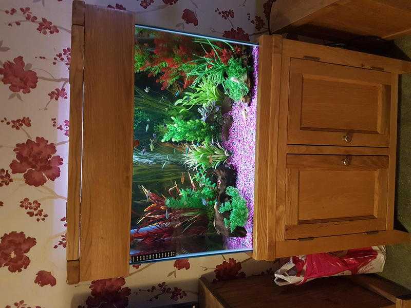 Fish tank