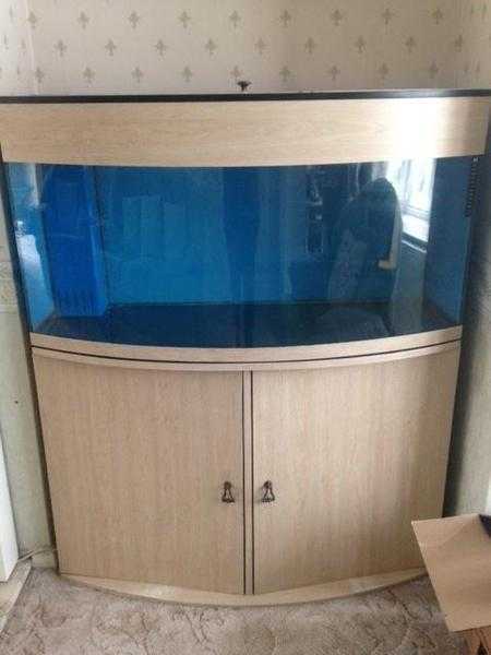 Fish Tank