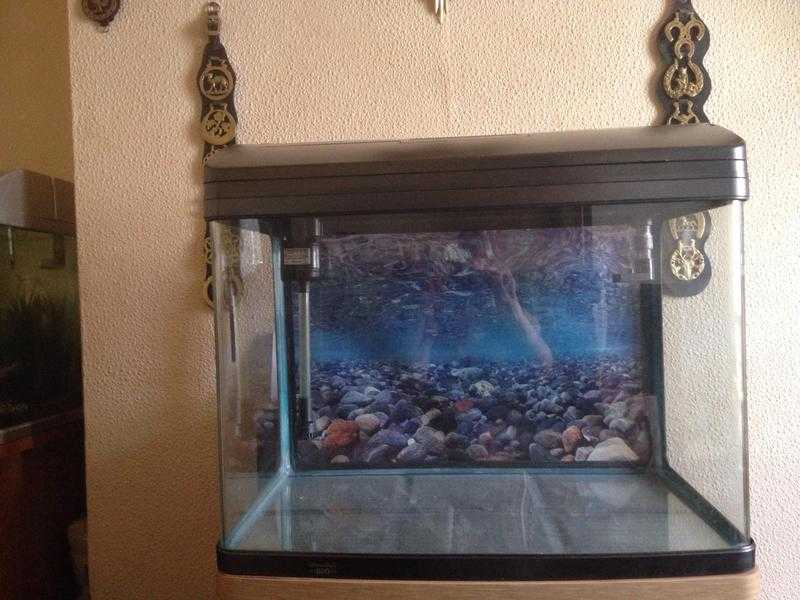 Fish tank