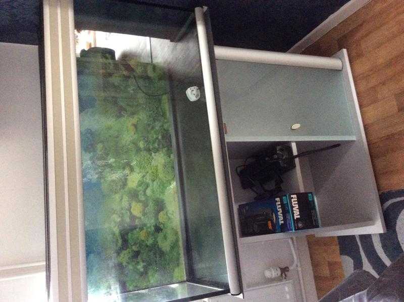 Fish tank