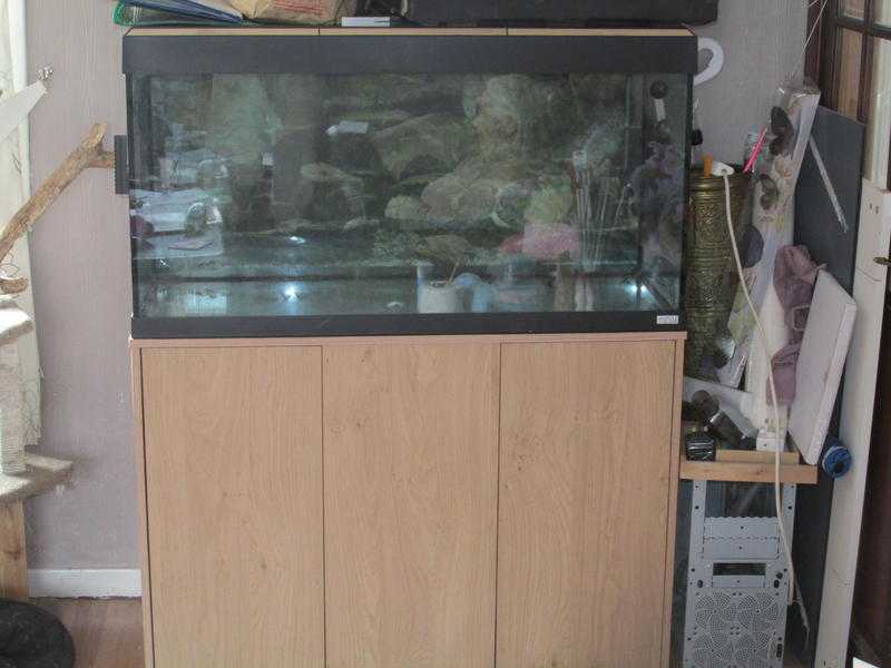 fish tank and cabinet for sale