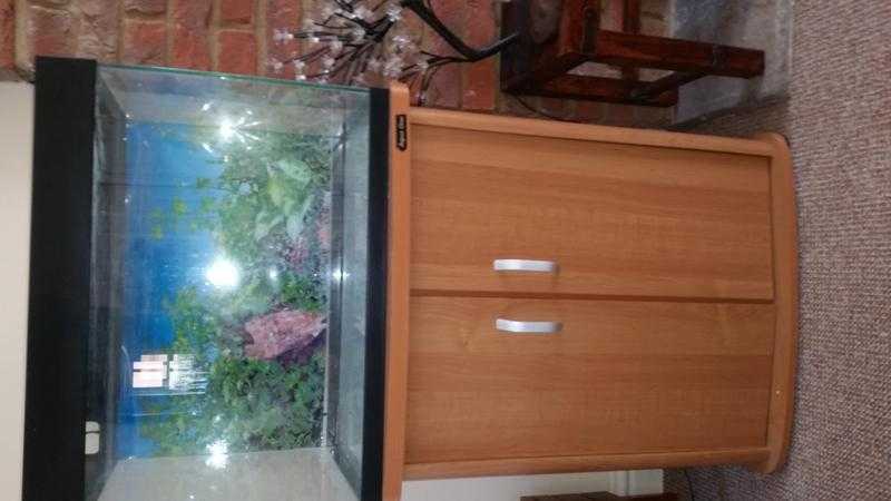 Fish tank and stand