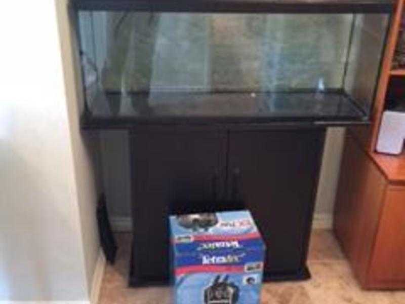 Fish tank and stand, complete setup