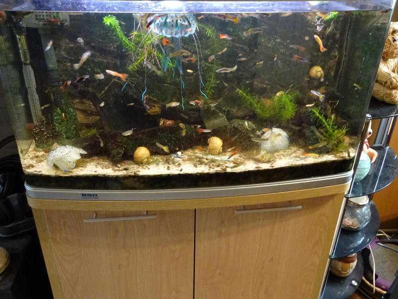 Fish Tank Aquarium and Stand