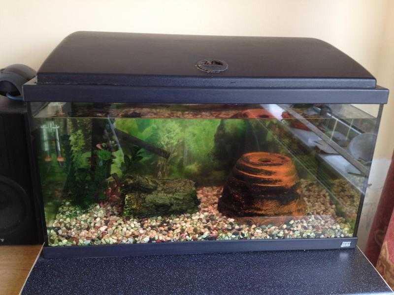 Fish tank, filter, pump, heater, food, light and other accessories