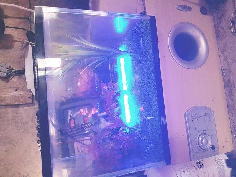 Fish tank uv light and accessories