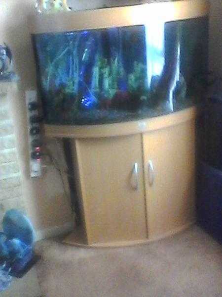 Fish tank with accessories