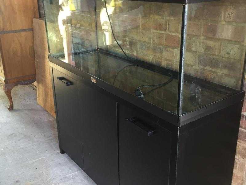 Fish tank with cabinet