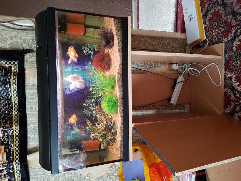 Fish tank with stand for sale