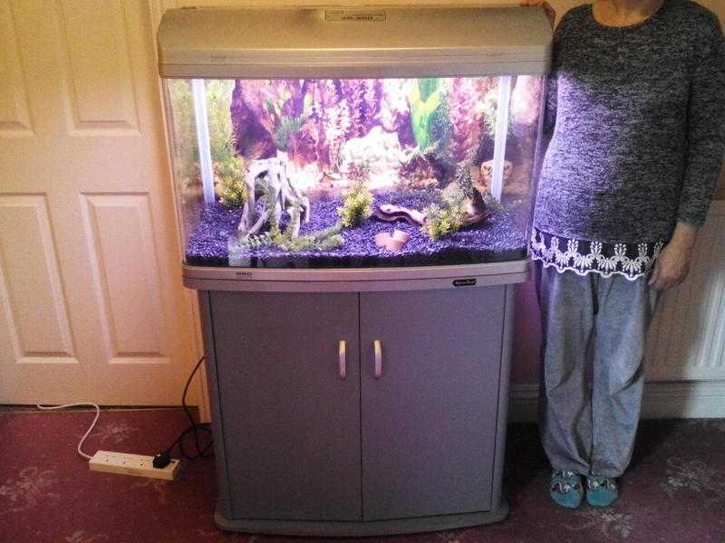 FISH TANKFULL AQUA ONE SET UPLARGE 165 LITRES CAPACITYACCESSORIES