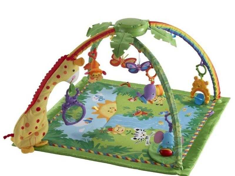 Fisher Price Jungle Gym