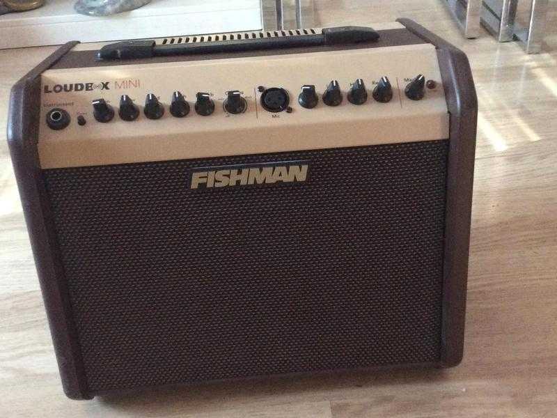 FISHMAN Loudbox mini