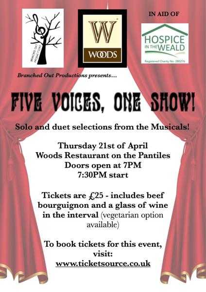 Five Voices One Show