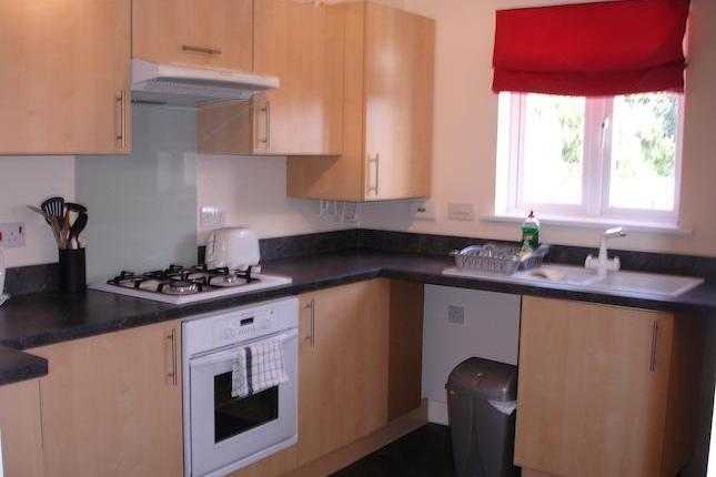 Flat to rent in Briostin  BS7