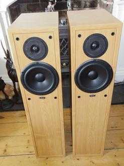 Floor Standing Speakers