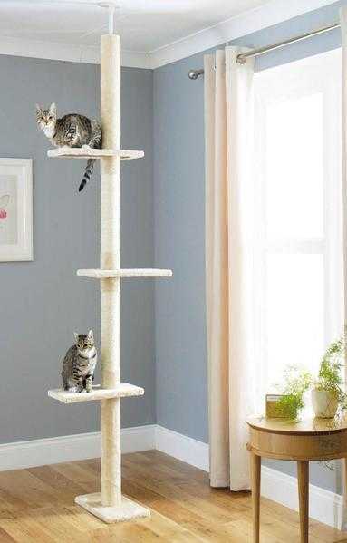 Floor To Ceiling Cat Tree