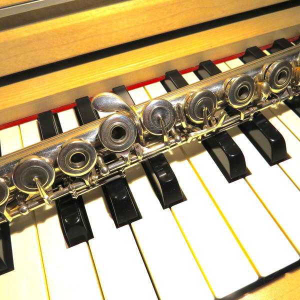 Flute  Piano Tuition