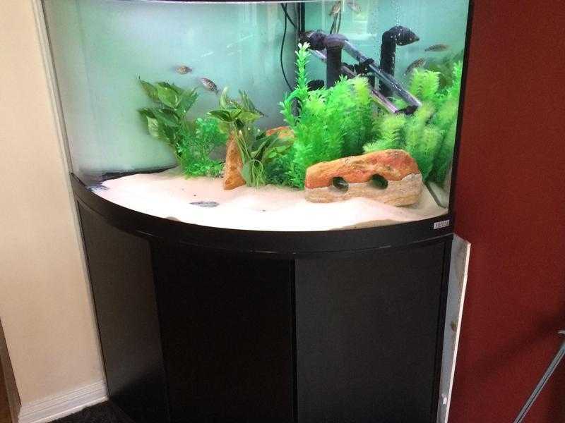 Fluval corner tank 190ltrs