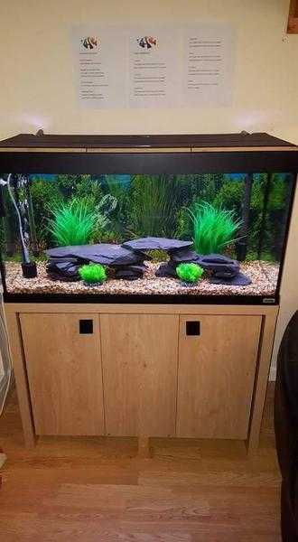 Fluval roma 200 and uv canister filter