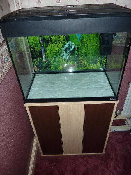 FLUVAL ROMA 90 FISH TANK SYSTEM WITH PLINTH  CUPBOARD amp FISH-KEEPING SUPPLIES