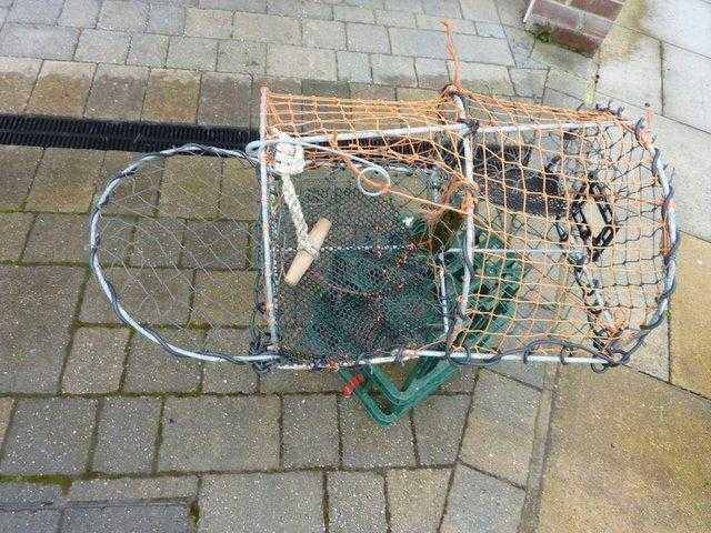 Folding Lobster  Crab pots  creels double entry 24 X 18