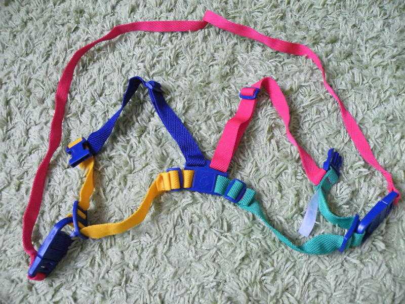 For Sale - Childs Harness amp Reins