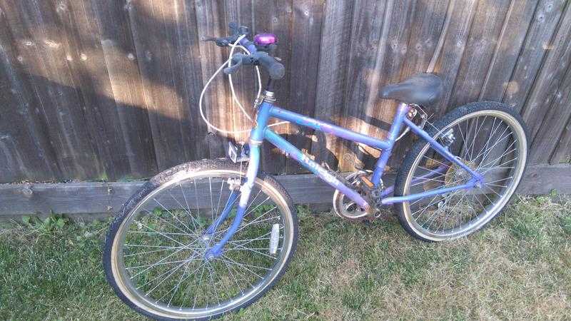 for sale raleigh bicycle