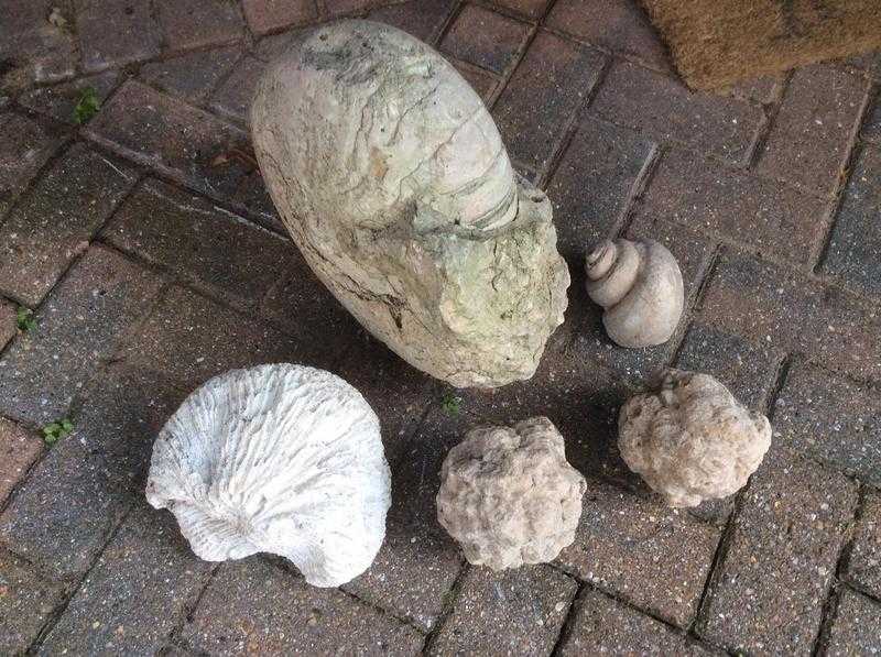 FOSSILS