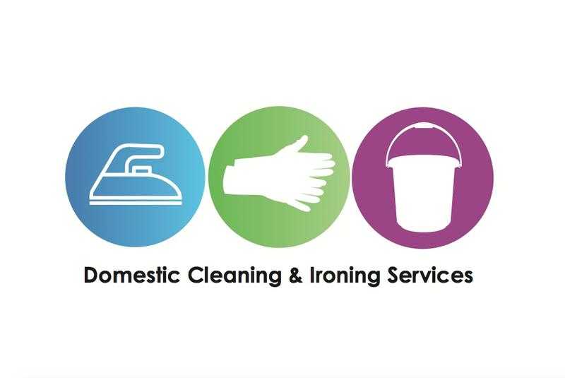 Fran J - Domestic Cleaning amp Ironing Services