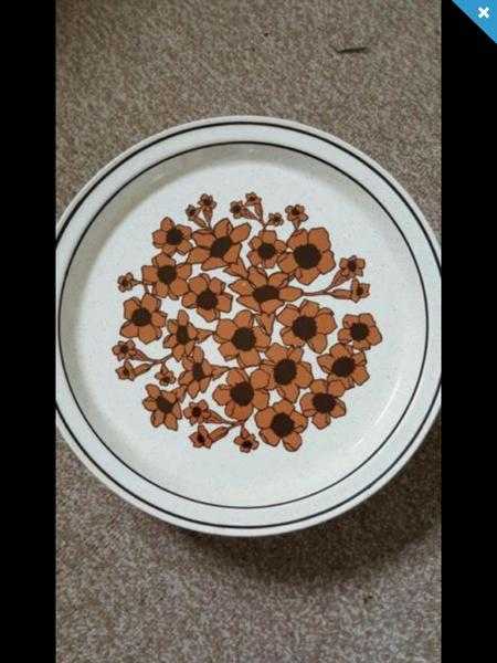 FREE 14 dinner and 4 x side plates FREE