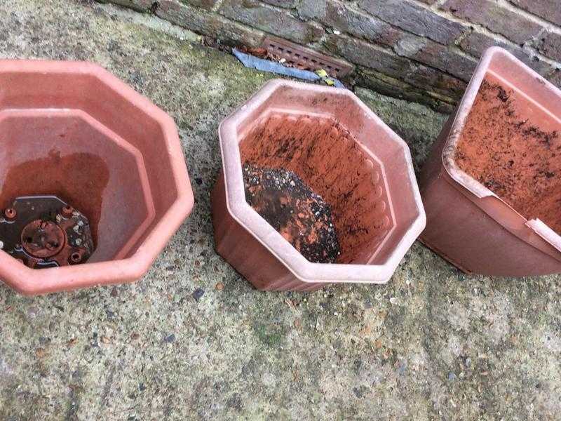 FREE 3 x PLANTERS