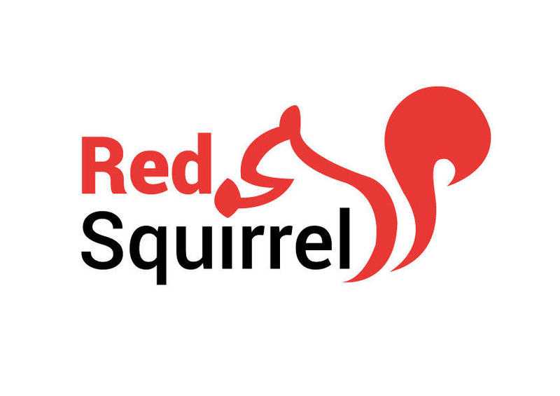 Free 50 MampS Gift Cards with all life insurance policies taken out with Red Squirrel